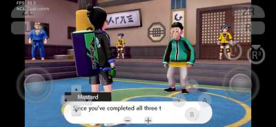 How can i fix this on pokemon sword?