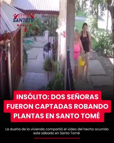 Alerta en Santo Tomé por dos señoras que se meten a las casas a robar plantas
