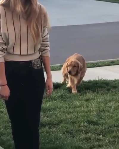 To be sneaky
