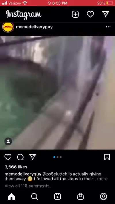 Happy Seal Noises