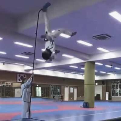 Is this guy a taekwondo expert ?, he was good.