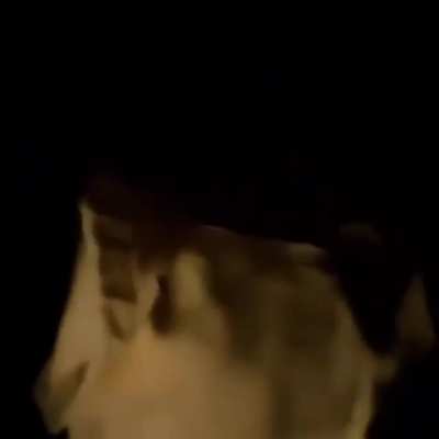 why carti actually talking like a fucking toddler in this 😭