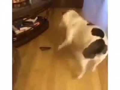 The best reaction?....