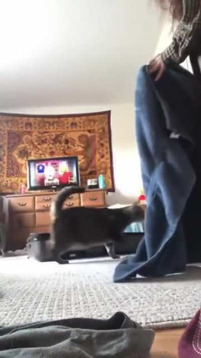 Girl trying to fit inside a suitcase.