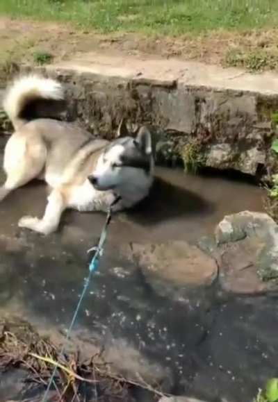 Буль буль буль
