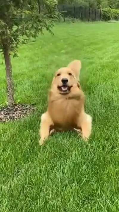 Whatcha doin?