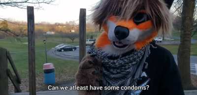 Puppies_irl