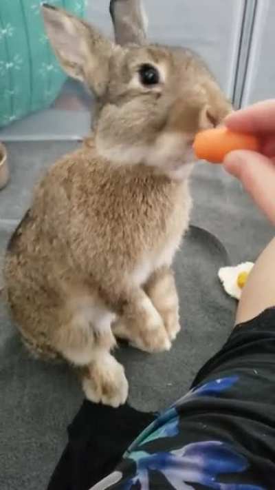 cronch.