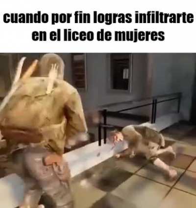 Vegetta igualitario