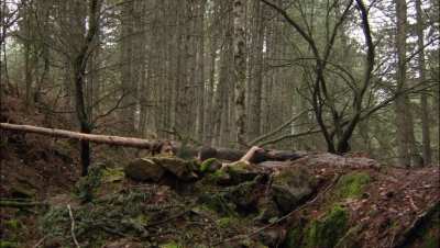 Talitha Luke-Eardley - Wrong Turn 6 (2014)