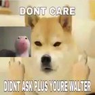 WALTER_ALERT