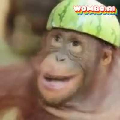 Numa numa