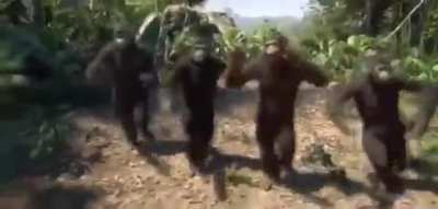 Ak Parti Gençlik Kolları toplantısı olur gibi: