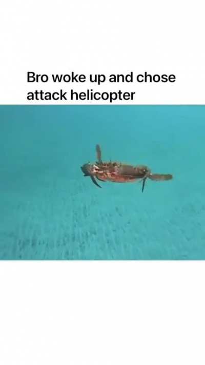 🦀X🚁