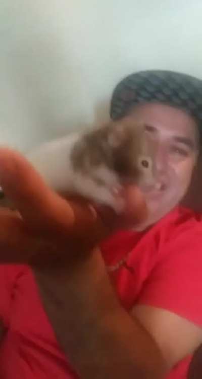 My dad got bit by our hamster after eating nuts