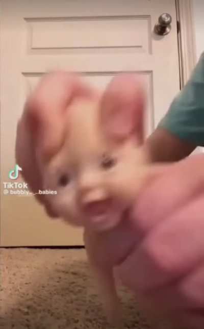 what is this thing