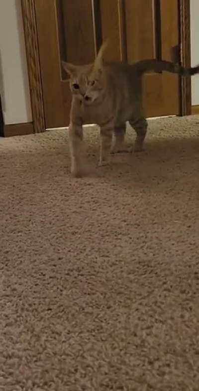 I thought he had control for a second there.