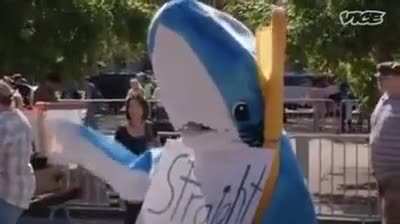 built-in shark