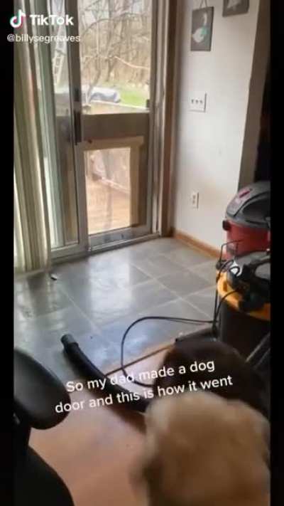 Homemade dog door