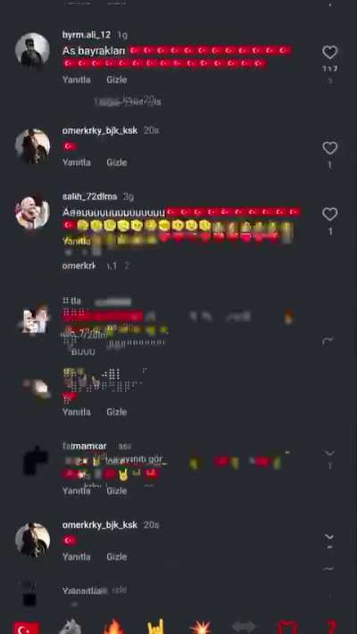 Turkey flag spotted 