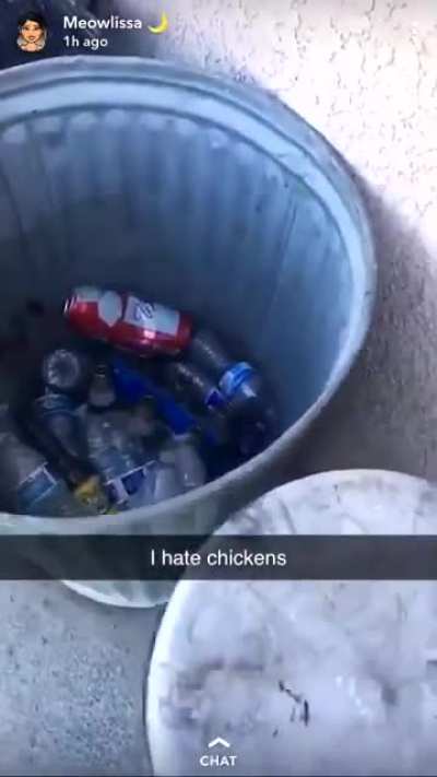 Chicken