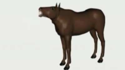 Hoyda