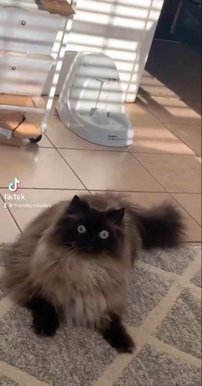 beady eyes