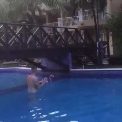 Flamingo: Nothing to see here