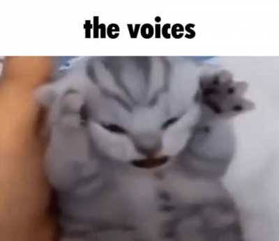 rule