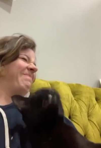 Cat has a sneeze attack