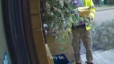 Amazon driver fat shames my cat.