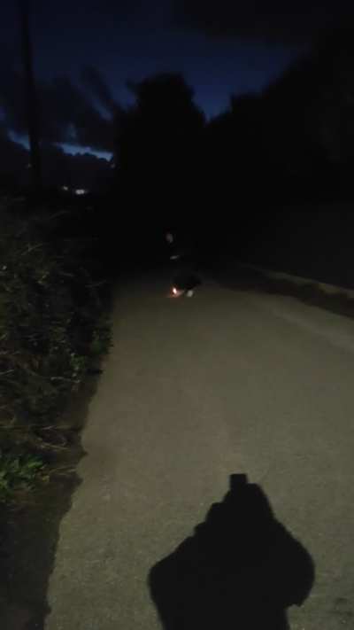 First firecraker