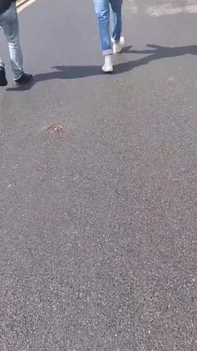 Rainer schreit rum obwohl die Haider längst auf dem Weg nach Hause waren, anstatt ruhig zu werden {19.05.2021}