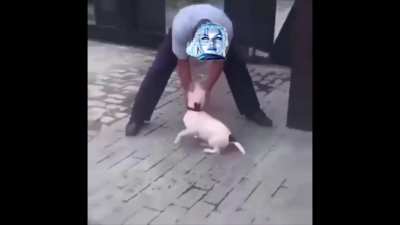 Kladr attack!