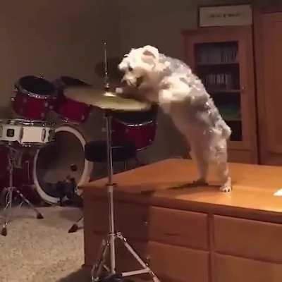 Hey hey mama said the way you move Gonna make you sweat, gonna make you groove.