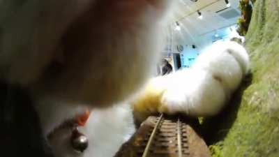 Maybe Maybe Maybe