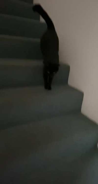 Here’s Burger squeaking his way down the stairs again