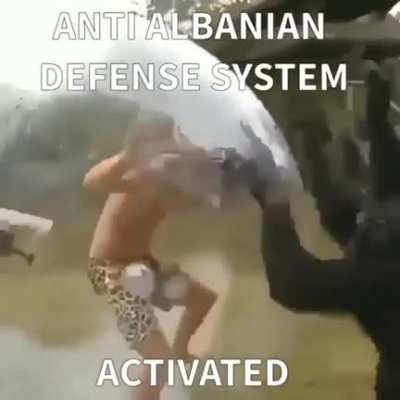 anti albanian defense system