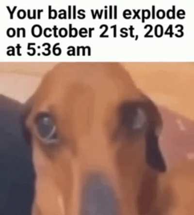 Rule