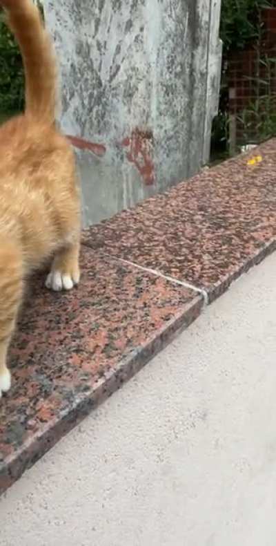 Title says 
