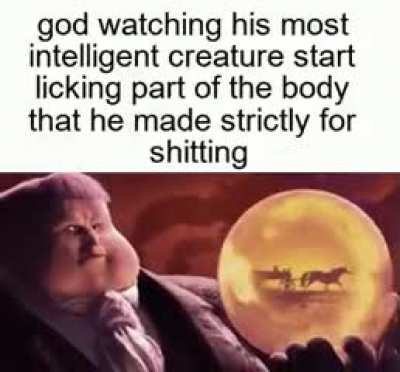 I don't understand 