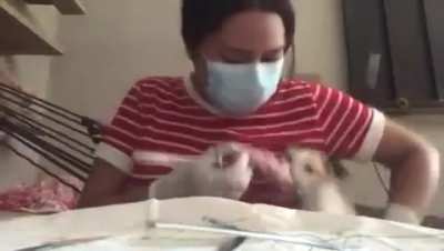 So… you’re saying “your Cat ate your homework…?”