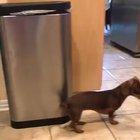 sound on