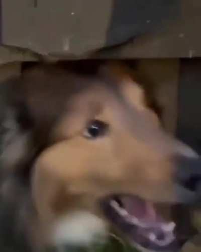 NOOOOOOO