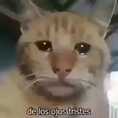 De los ojos triste