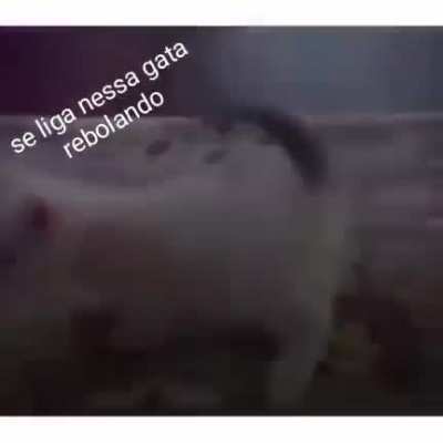 Ae man se liga nessa gata rebolando