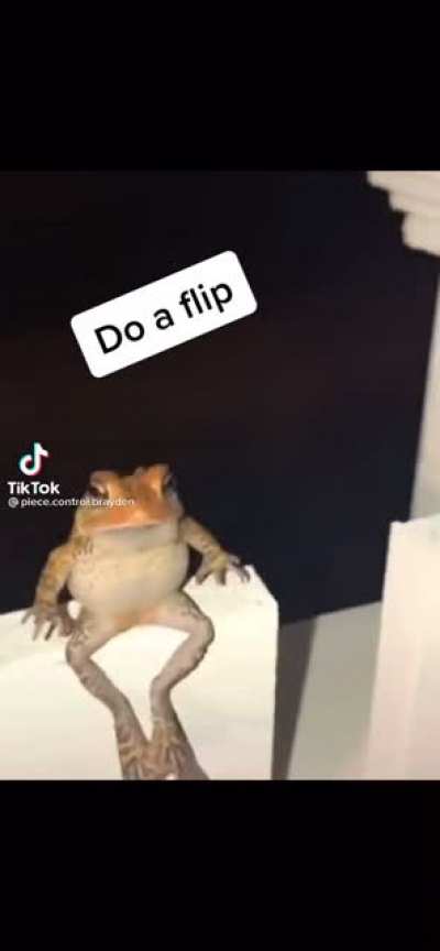 Do a flip