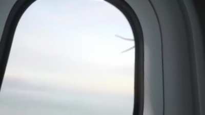 Aranha na janela de um avião