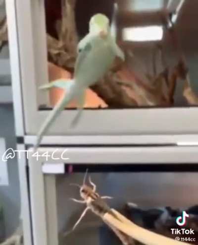 Not my video, thought it belonged here.