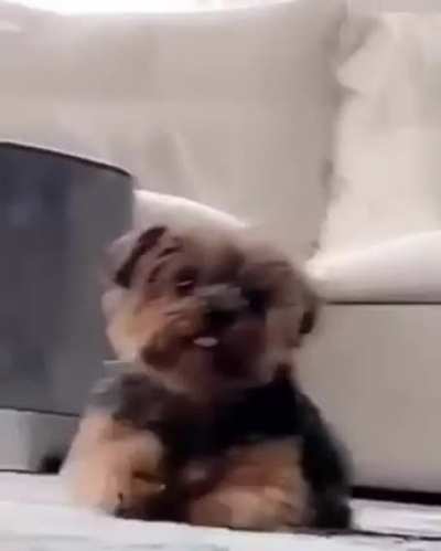 Master Of The Sneak Attack